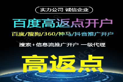 百度竞价广告投放策略：案例分析及优化建议